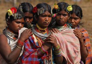 tribu